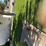 Lawn care