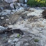 Pond removal