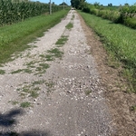 Driveway repair
