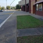 AMC