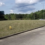 Amc