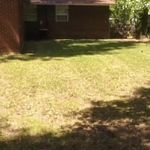 Resident lawn