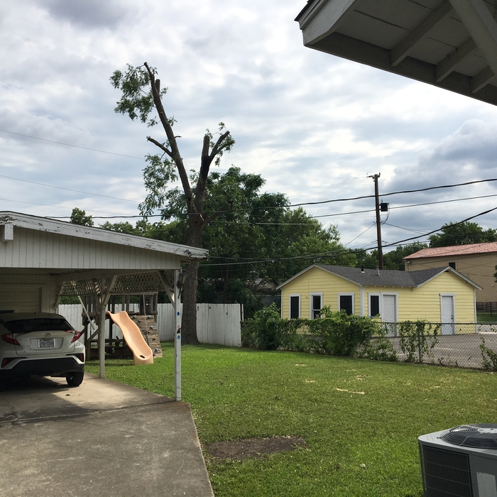 Tree removal rear satx