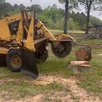 stump