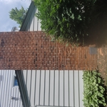 Before photo