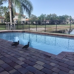 Customer Pool