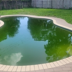 Before and After- Algae