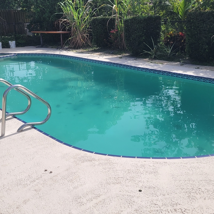 Before and After- Algae
