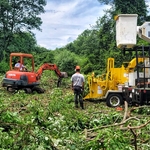 Lot clearing job in Enfield CT