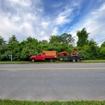 Lot clearing job in Enfield CT