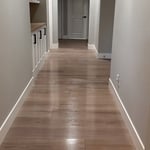 Move In/Out Cleaning -