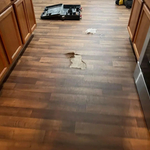 Damaged flooring