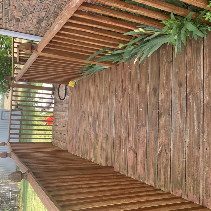 Porch and deck