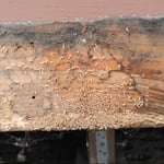 Exposed Wood