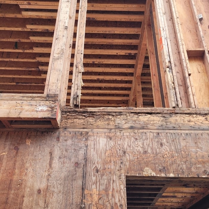 Frame Preventative and Control