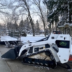 Tree Work