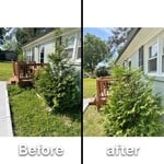 Before and After