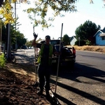 Asphalt Job
