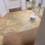 Carpet Replacement