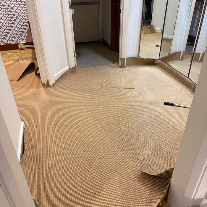 Carpet Replacement