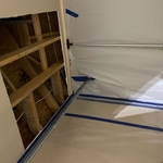 Mold Remediation