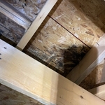 Mold Remediation