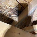 Mold Remediation