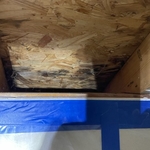 Mold Remediation