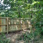 Like a rainforest with barriers
