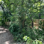 secret road and a hiding Fence