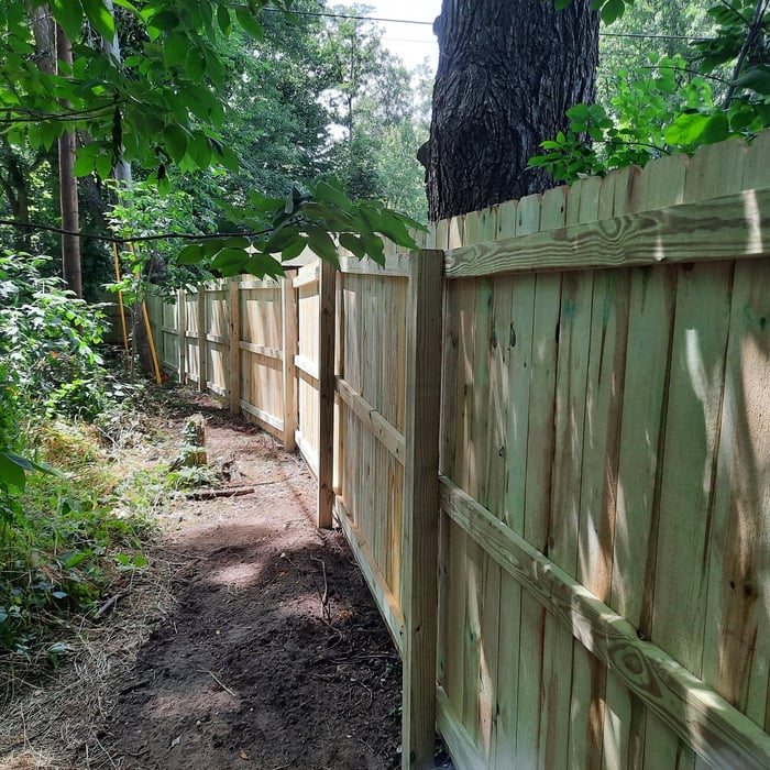 The Fence hugs the trees