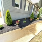 new landscaping