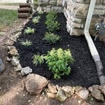 new landscaping
