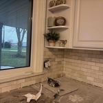 Full kitchen remodel