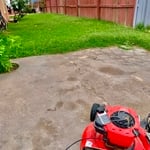 mowed lawn