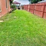 mowed lawn