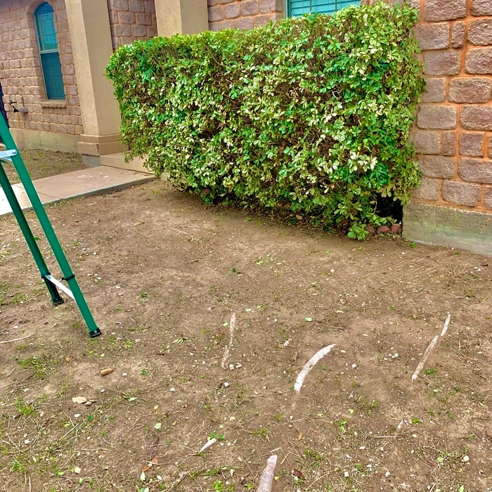 Lawn Care