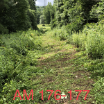 Clearing 5 foot wide path