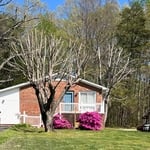 Tree Trimming