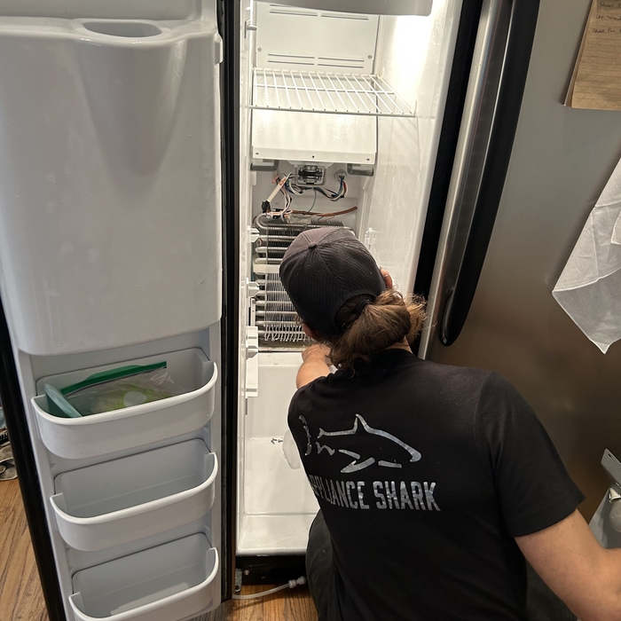 Best Refrigerator Repair