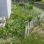 Prestige Landscaping