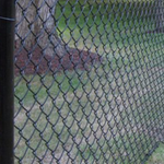 Chain Link Fence