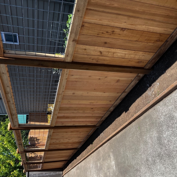 Cedar Wood Fence