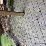 Patio and Stone Wall