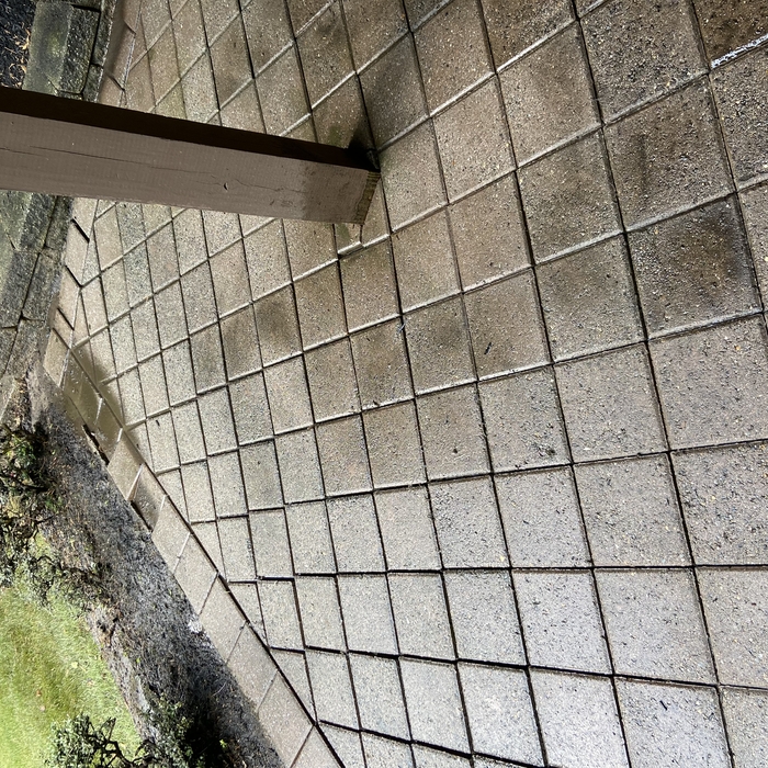 Patio and Stone Wall