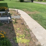 landscape/powerwash
