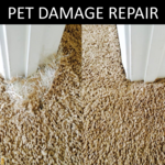 Pet Damage Repair