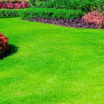 Will Do It Landscaping