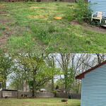 Yard Before & After
