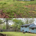 Before & After
